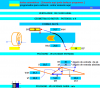 Planilhas de Cálculo: Ventiladores axiais - Cálculo de geometria, potência, dimensionamento e H 